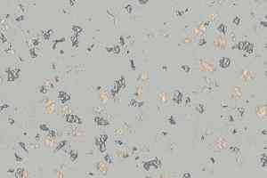 Линолеум Gerflor Taralay Premium Poesy 2750 Ellipse фото  | FLOORDEALER